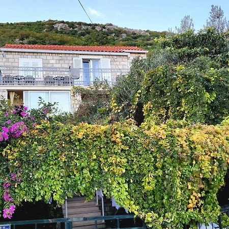 Tranquility And Nature In 4 Bedroom With Sea View Mokošica Exteriér fotografie