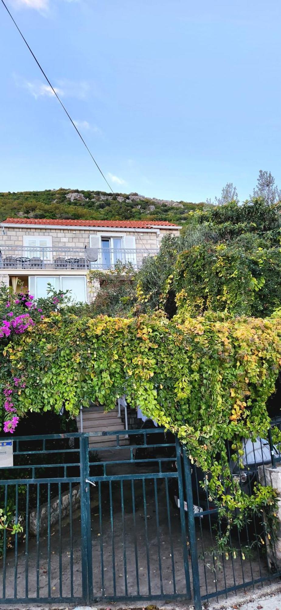 Tranquility And Nature In 4 Bedroom With Sea View Mokošica Exteriér fotografie